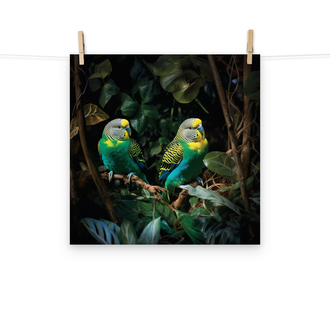 Budgerigar Photo paper poster - PosterfyAI.com