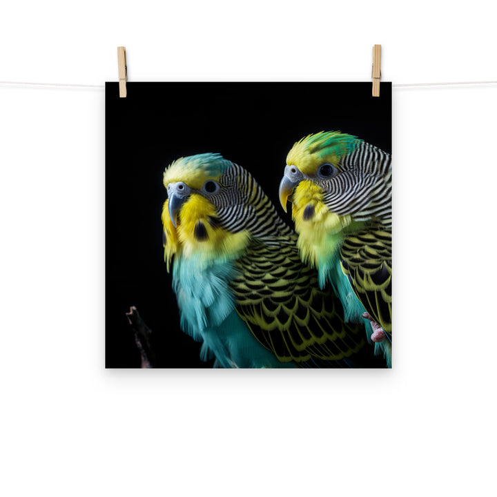 Budgerigar Photo paper poster - PosterfyAI.com
