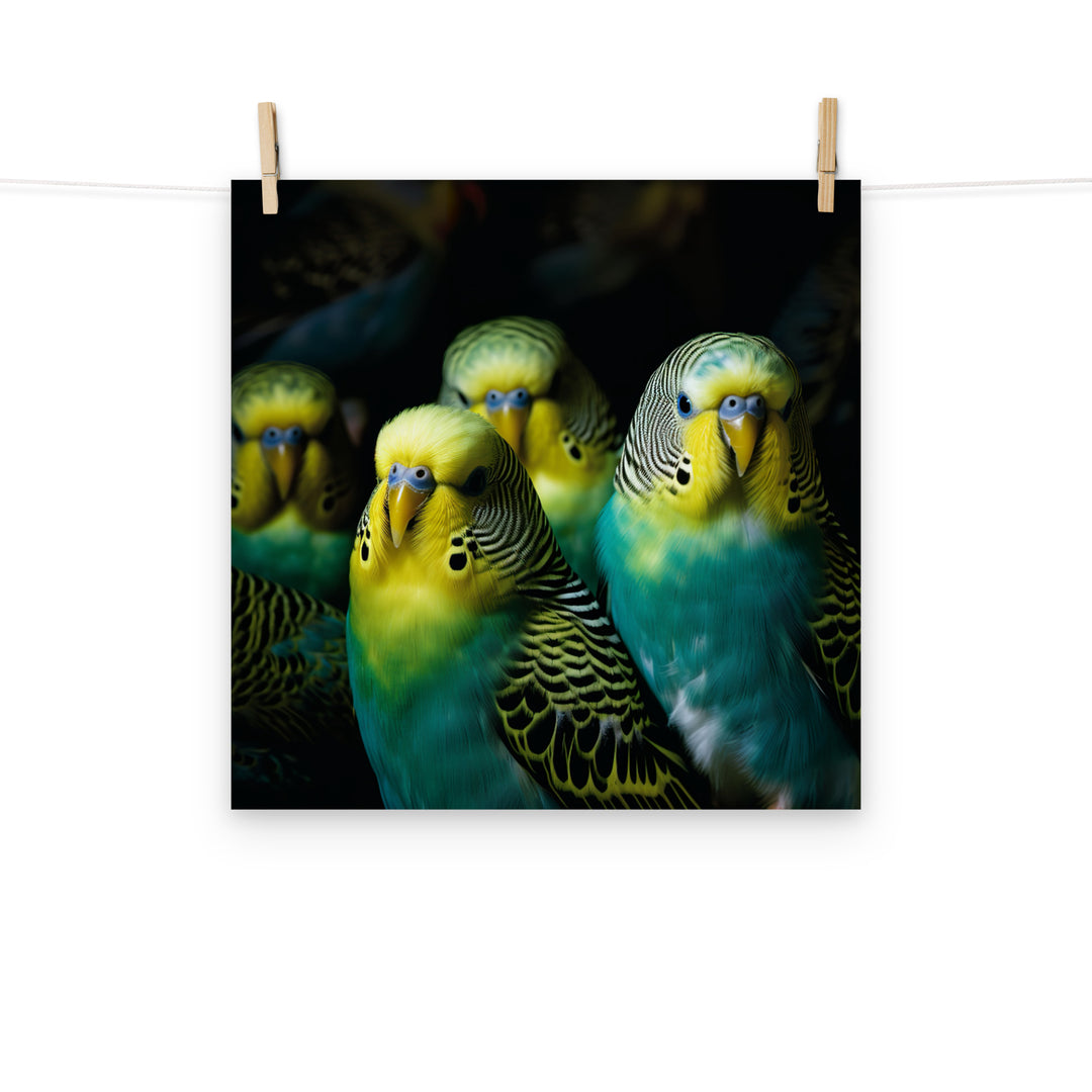Budgerigar Photo paper poster - PosterfyAI.com