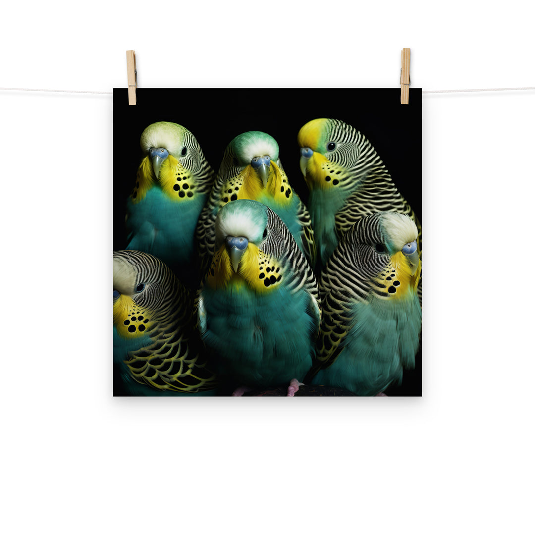 Budgerigar Photo paper poster - PosterfyAI.com