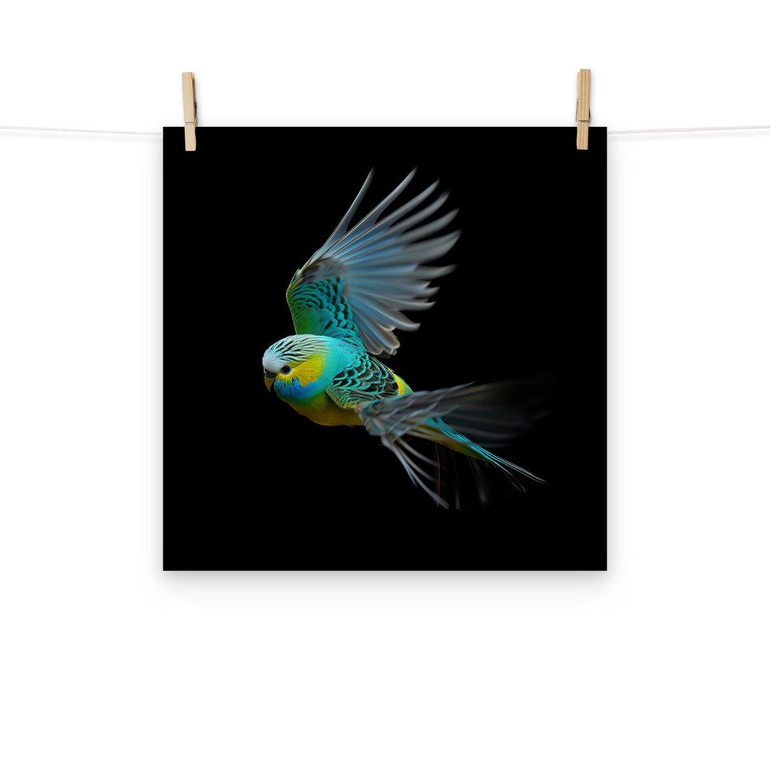 Budgerigar Photo paper poster - PosterfyAI.com