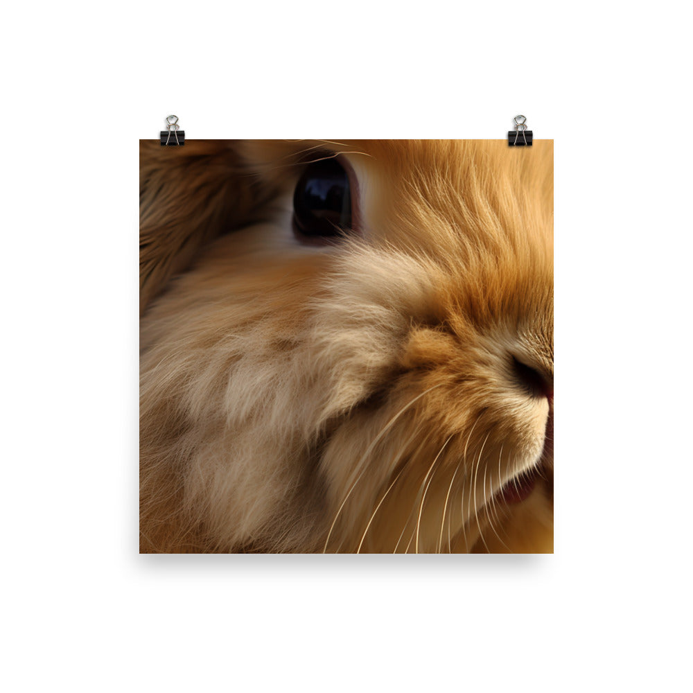 Close-up of American Fuzzy Lop Photo paper poster - PosterfyAI.com