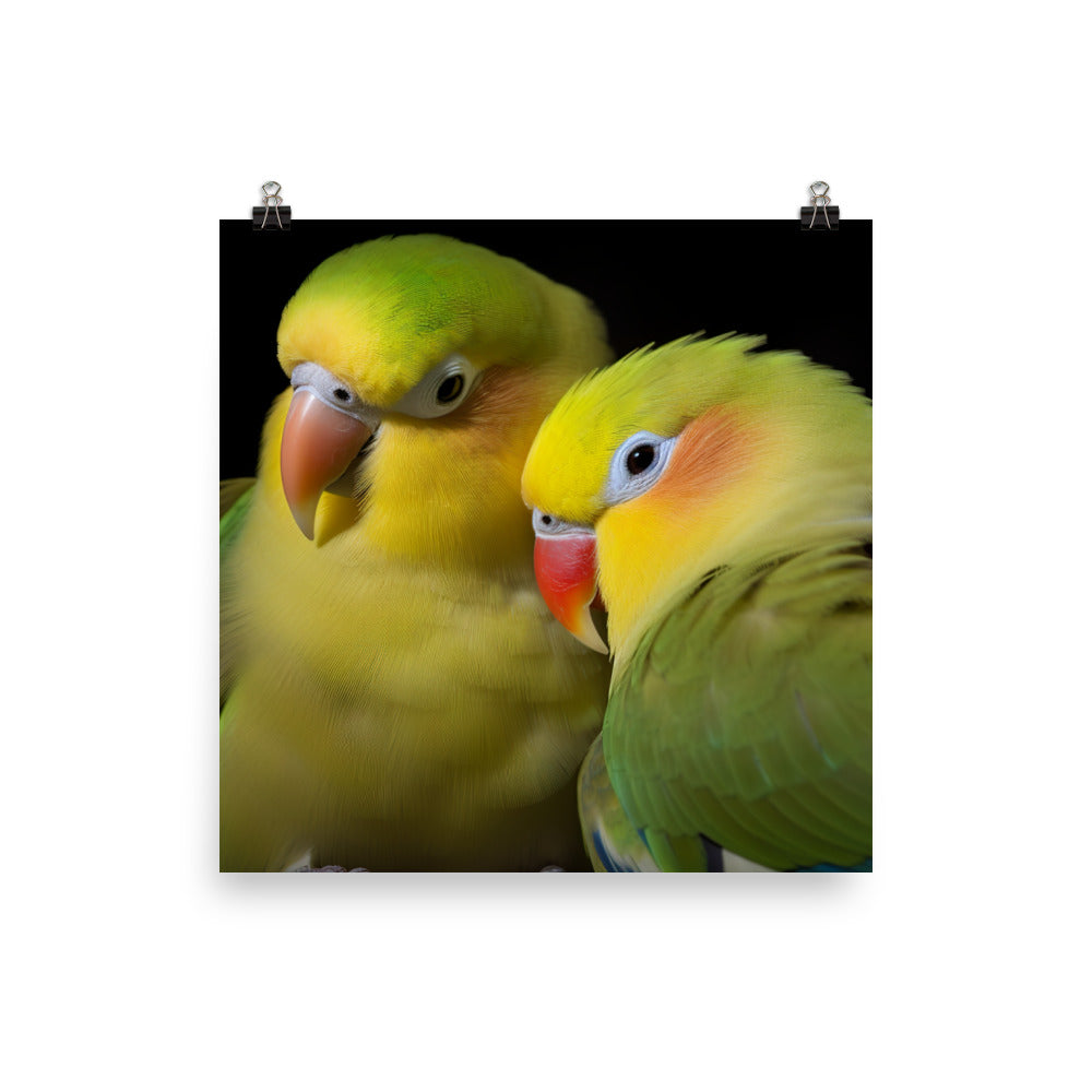 Lovebirds Pair Photo paper poster - PosterfyAI.com