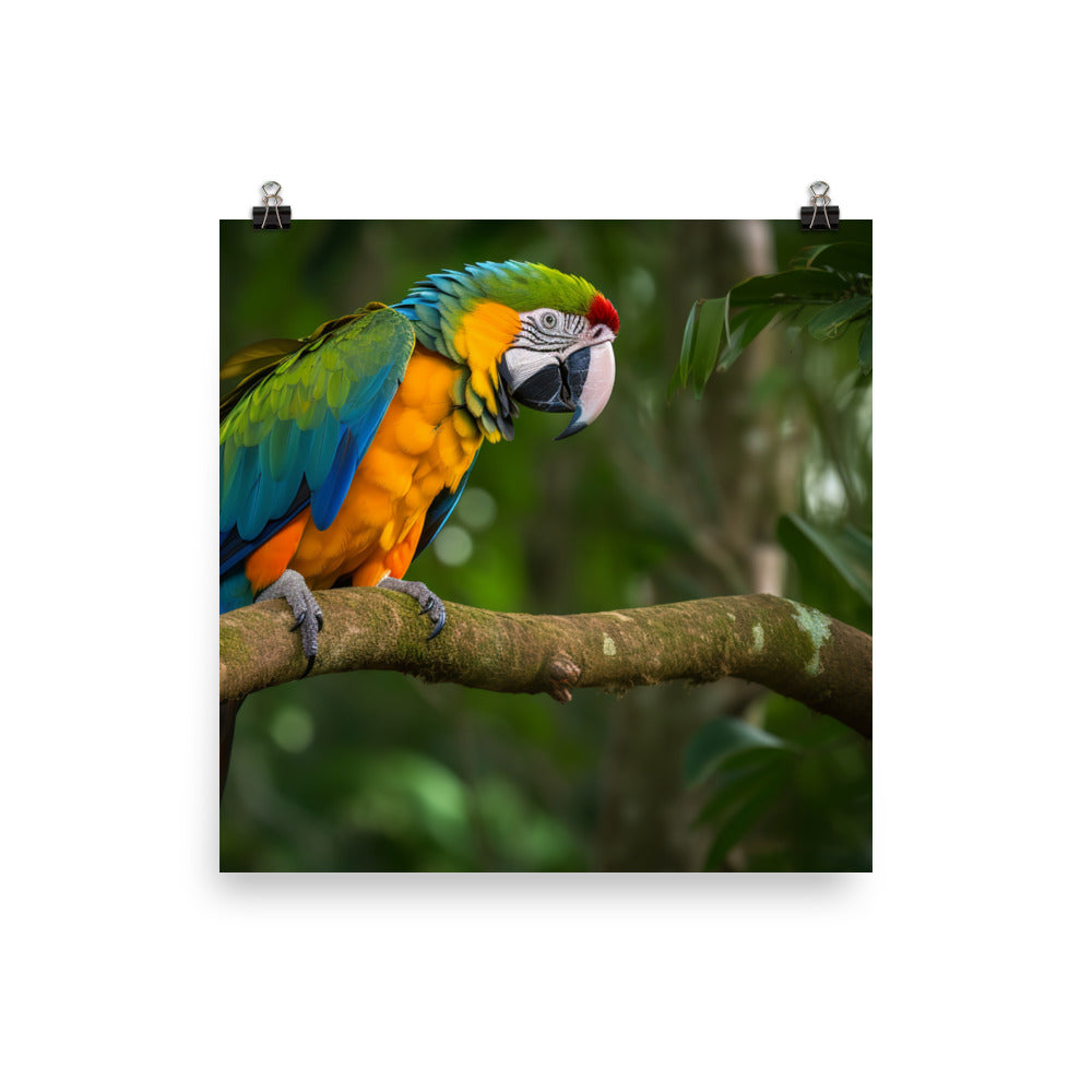 Green winged Macaw eating a nut Photo paper poster - PosterfyAI.com