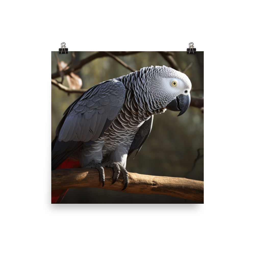 Curious African Grey Parrot Photo paper poster - PosterfyAI.com