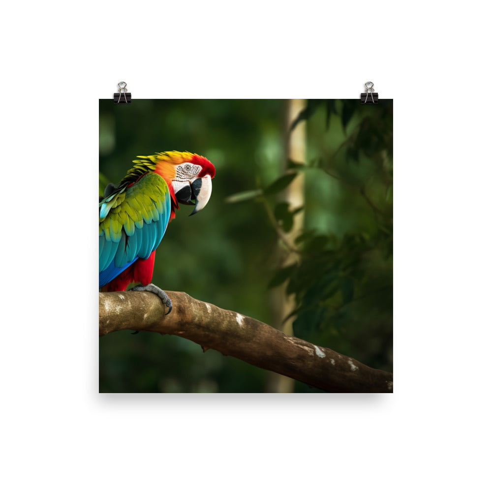 Colorful Macaw perched on a tree branch in the jungle Photo paper poster - PosterfyAI.com