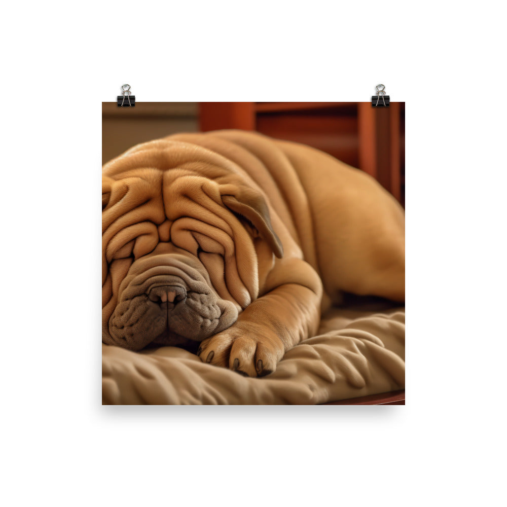 Shar Pei Dreaming Photo paper poster - PosterfyAI.com