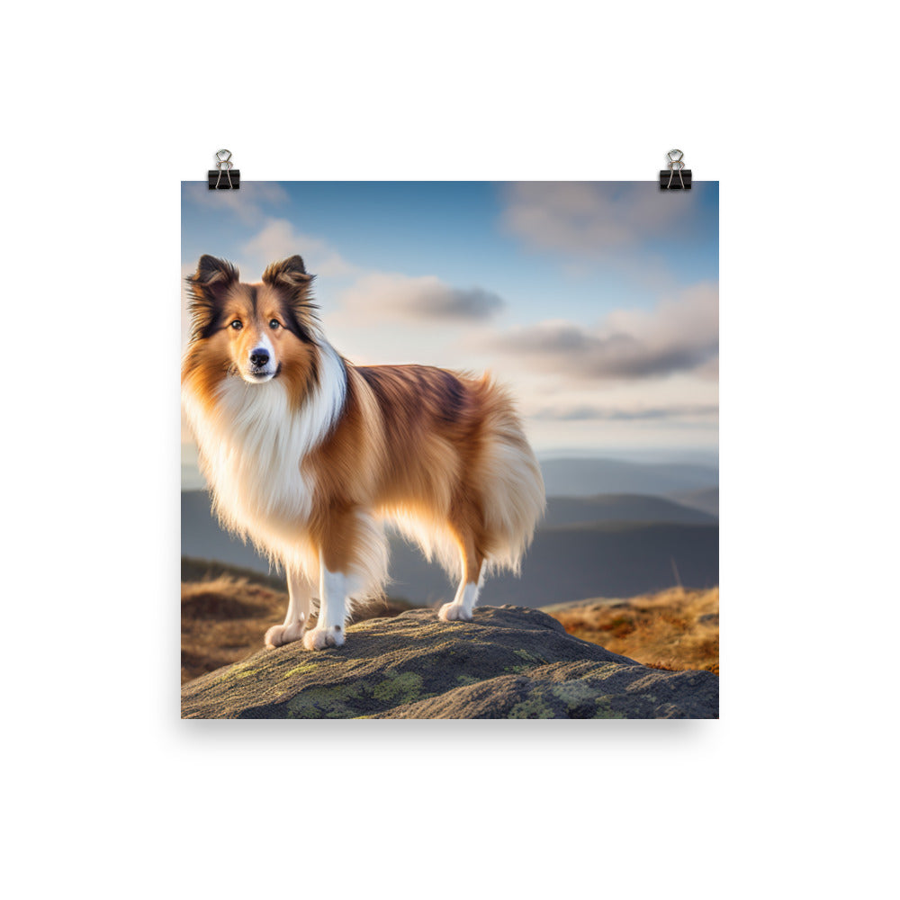 Majestic Shetland Sheepdog on a Hike Photo paper poster - PosterfyAI.com