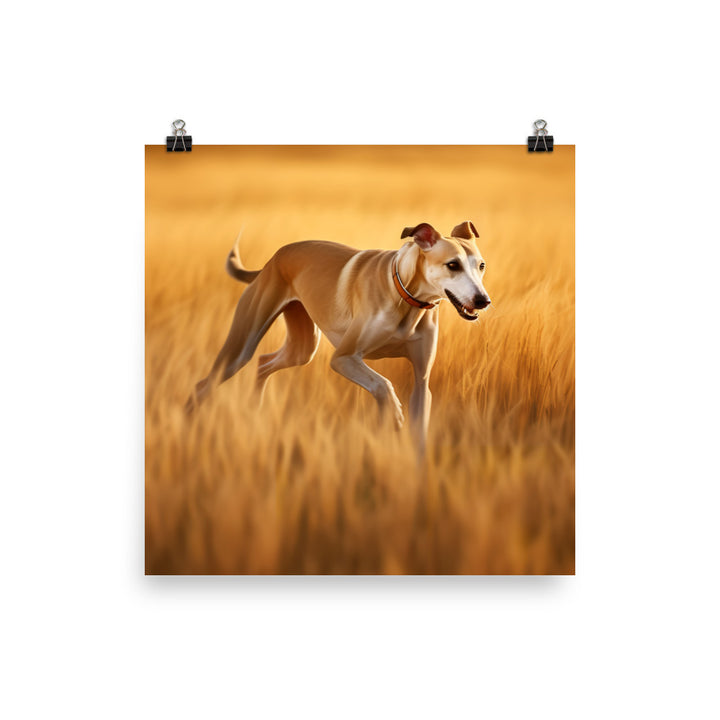 Graceful Greyhound Photo paper poster - PosterfyAI.com