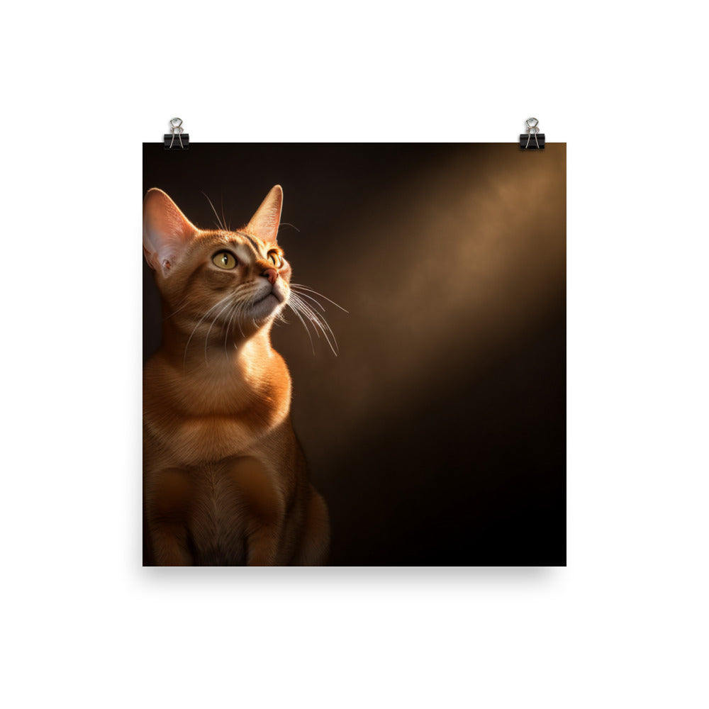 Playful Spirit of Abyssinian Cat Photo paper poster - PosterfyAI.com