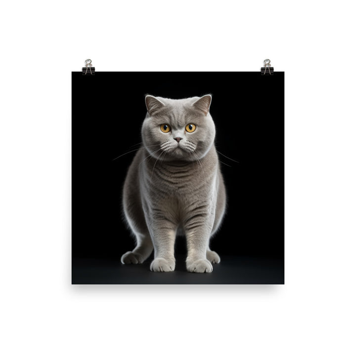 British Shorthair Cat Photo paper poster - PosterfyAI.com