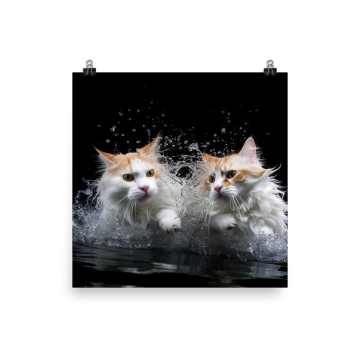 Graceful Turkish Van Cat Photo paper poster - PosterfyAI.com