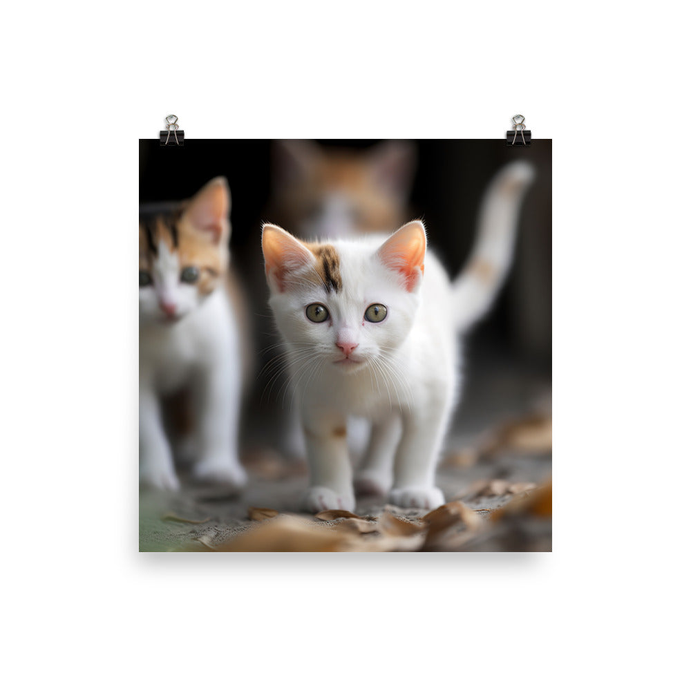Japanese Bobtail Kitten Photo paper poster - PosterfyAI.com