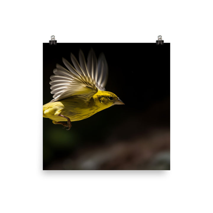 Canary in flight Photo paper poster - PosterfyAI.com