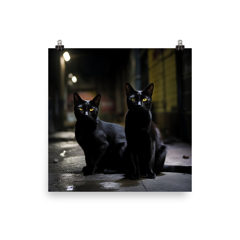 Elegance of Bombay Cat Photo paper poster - PosterfyAI.com