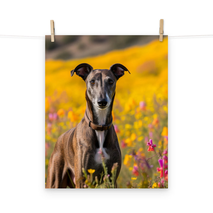 Greyhound Photo paper poster - PosterfyAI.com