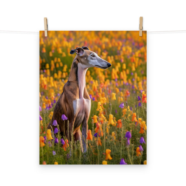 Greyhound Photo paper poster - PosterfyAI.com