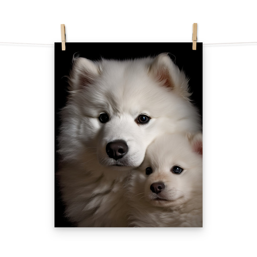 Samoyed Photo paper poster - PosterfyAI.com