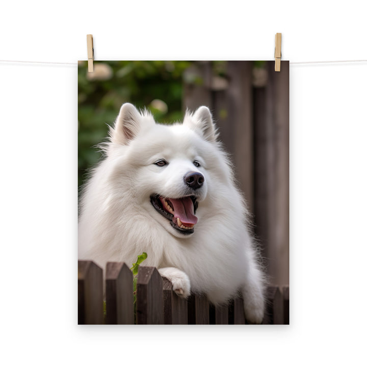 Samoyed Photo paper poster - PosterfyAI.com