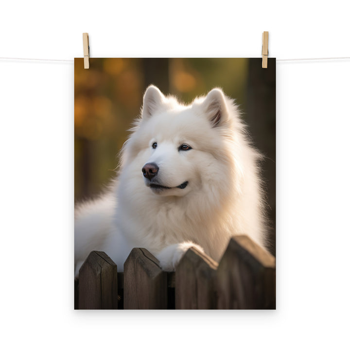 Samoyed Photo paper poster - PosterfyAI.com