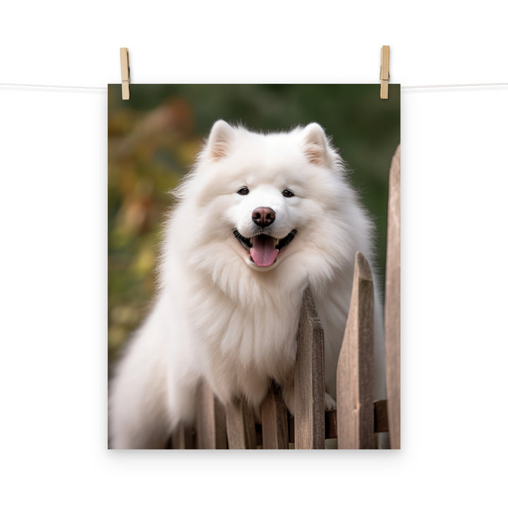 Samoyed Photo paper poster - PosterfyAI.com
