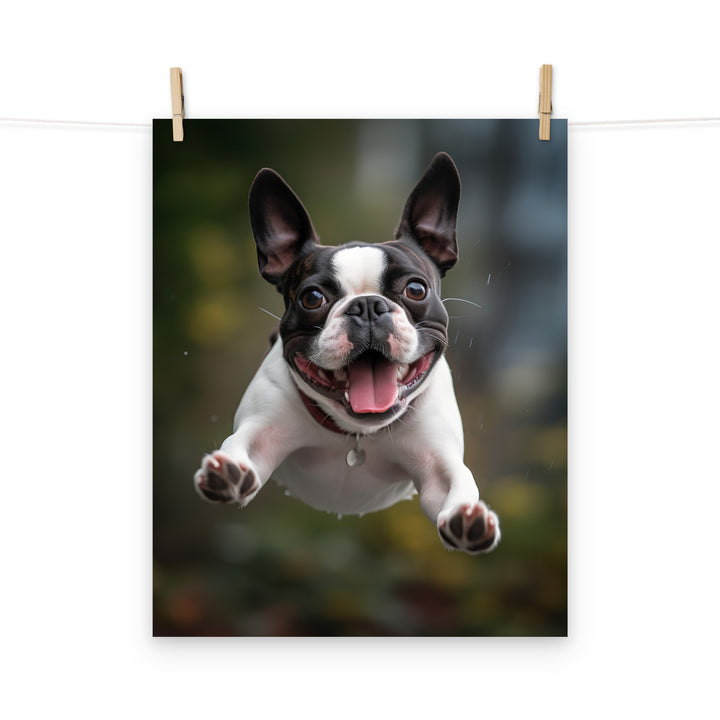 Boston Terrier Photo paper poster - PosterfyAI.com