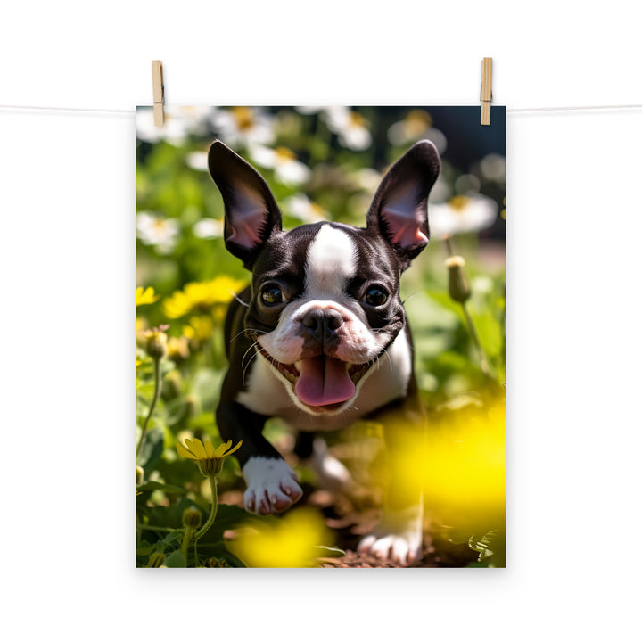 Boston Terrier Photo paper poster - PosterfyAI.com