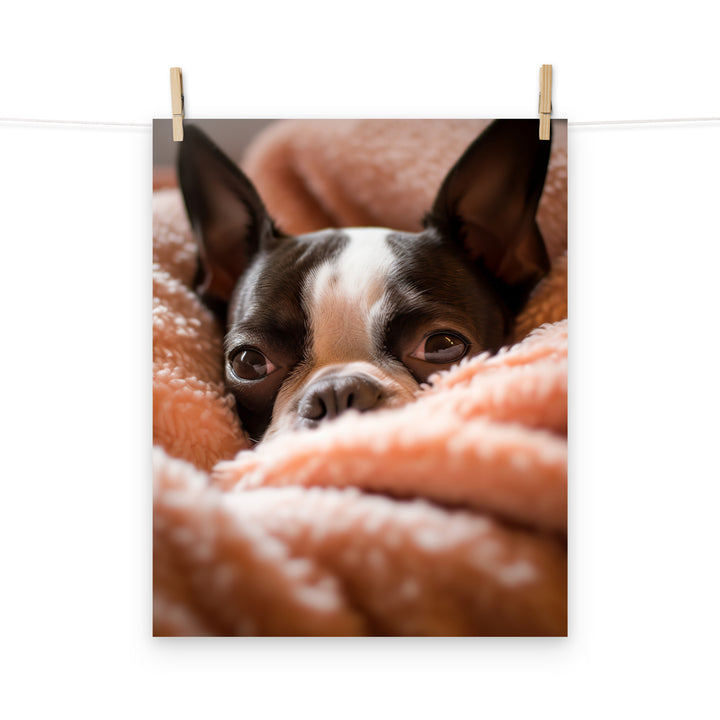 Boston Terrier Photo paper poster - PosterfyAI.com