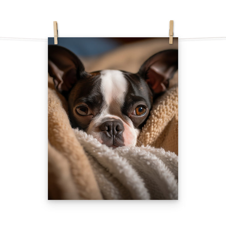 Boston Terrier Photo paper poster - PosterfyAI.com