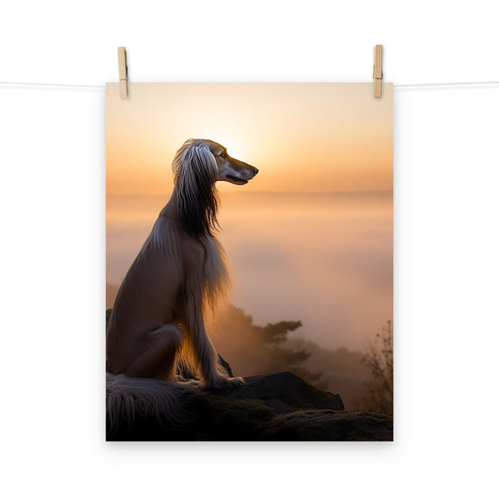 Afghan Hound Photo paper poster - PosterfyAI.com