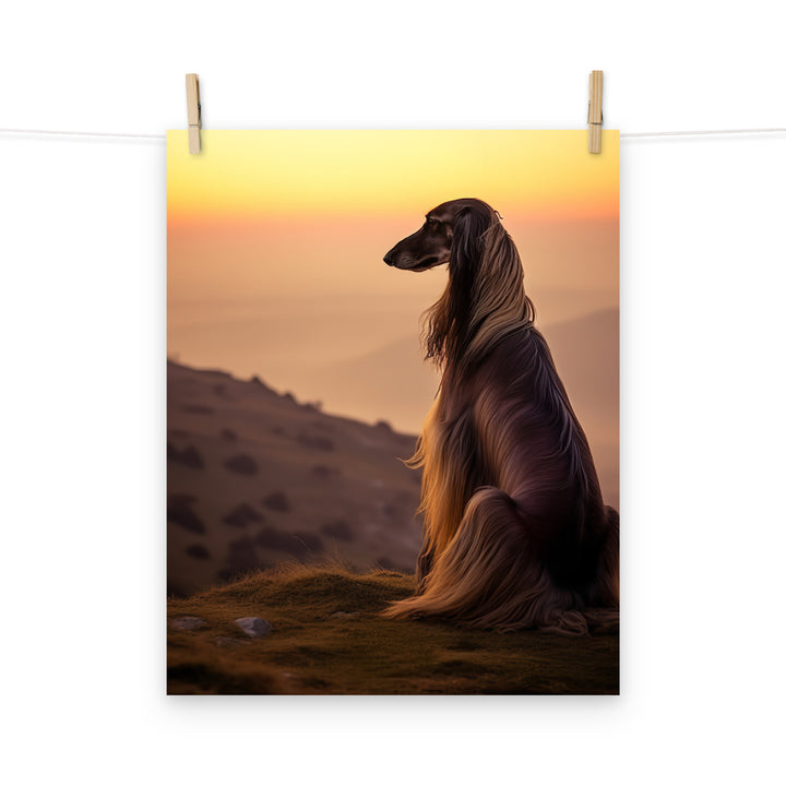 Afghan Hound Photo paper poster - PosterfyAI.com