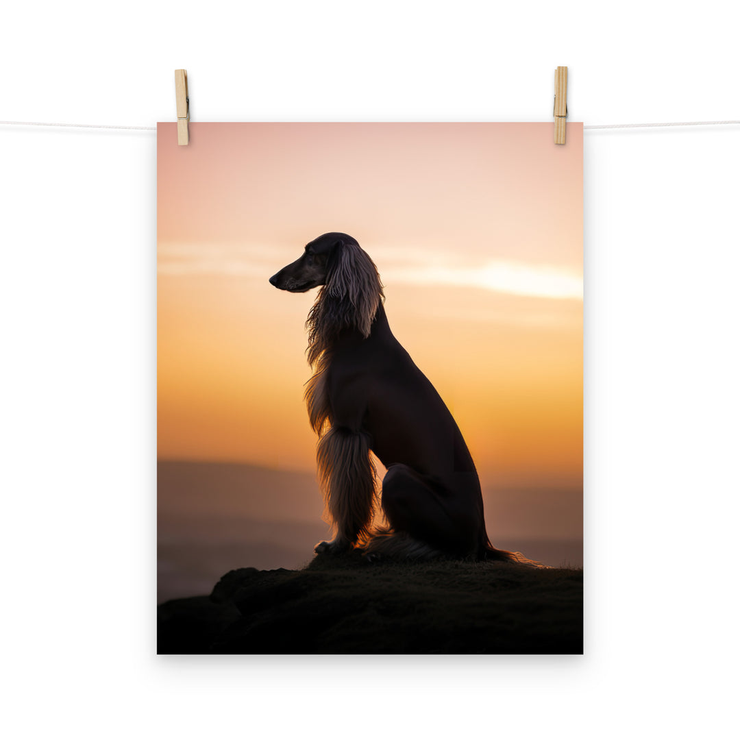 Afghan Hound Photo paper poster - PosterfyAI.com