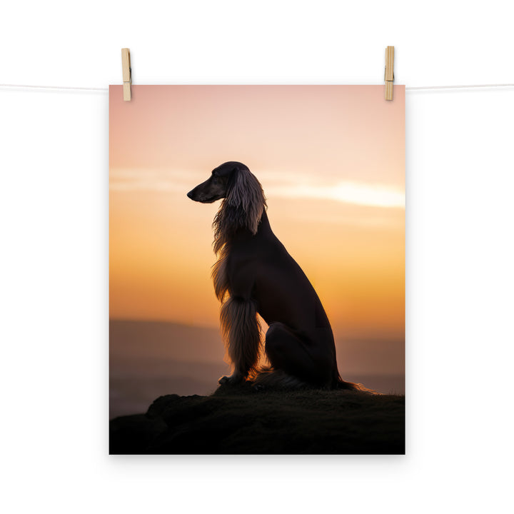Afghan Hound Photo paper poster - PosterfyAI.com