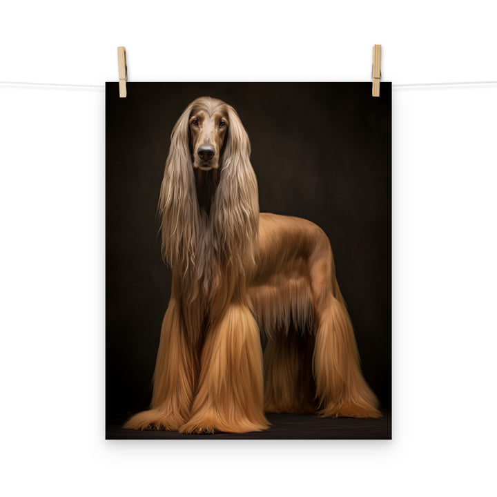 Afghan Hound Photo paper poster - PosterfyAI.com