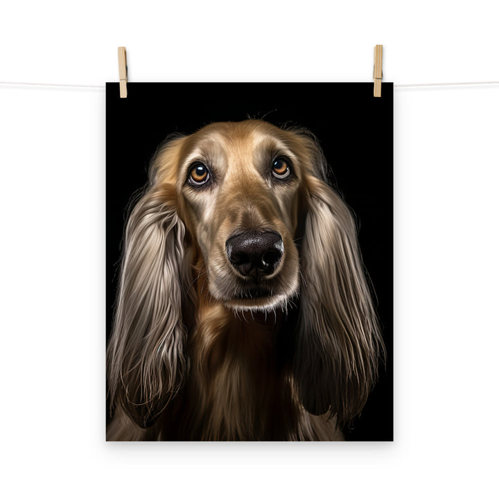 Afghan Hound Photo paper poster - PosterfyAI.com