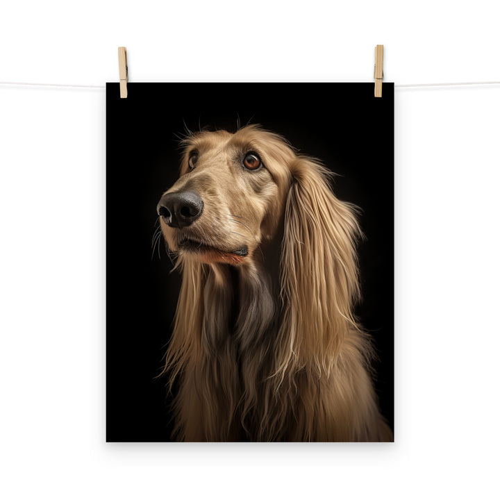 Afghan Hound Photo paper poster - PosterfyAI.com