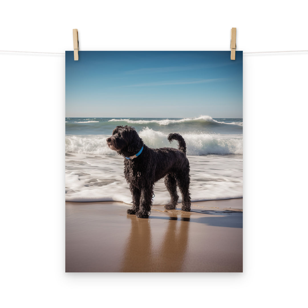 Portuguese Water Dog Photo paper poster - PosterfyAI.com