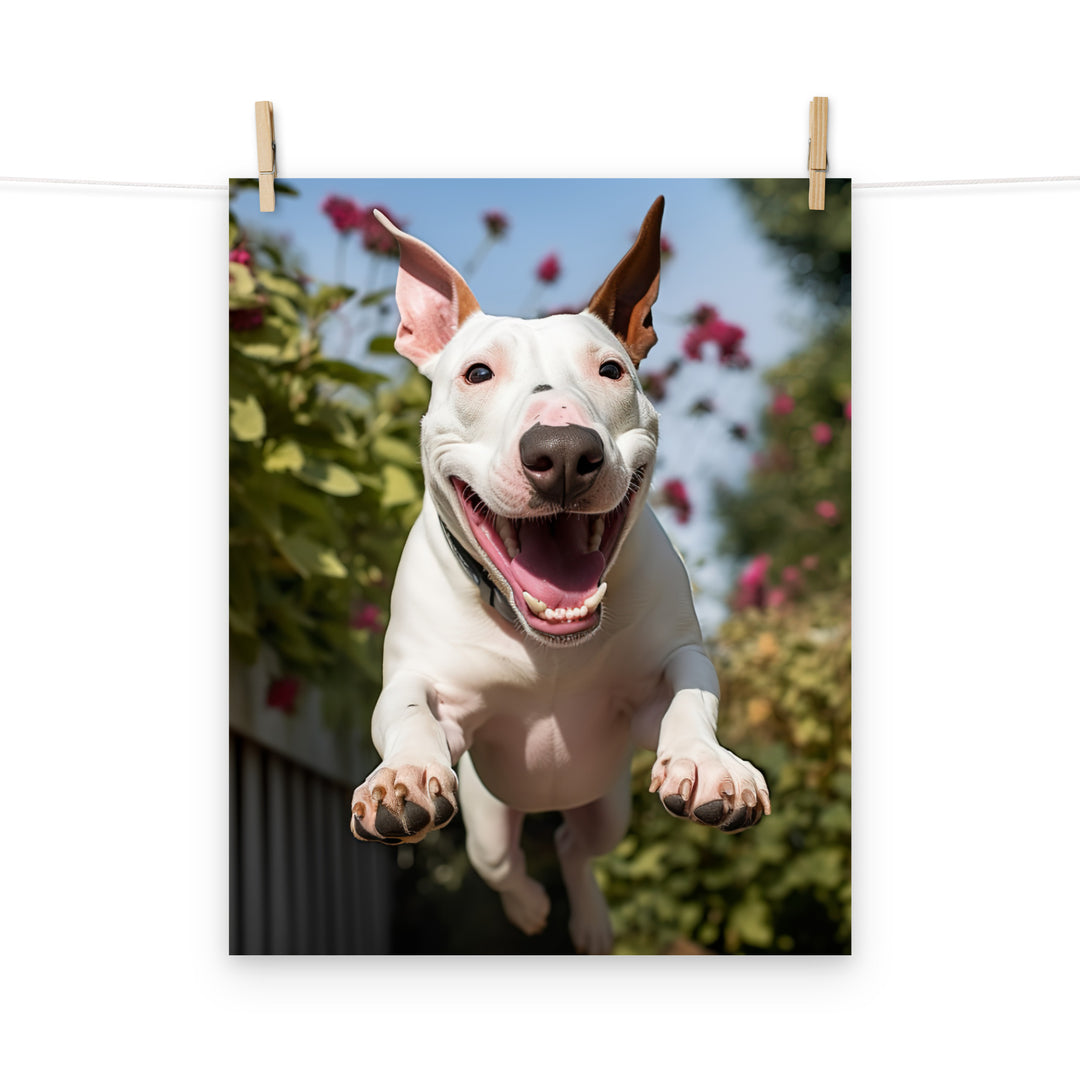 Bull Terrier Photo paper poster - PosterfyAI.com