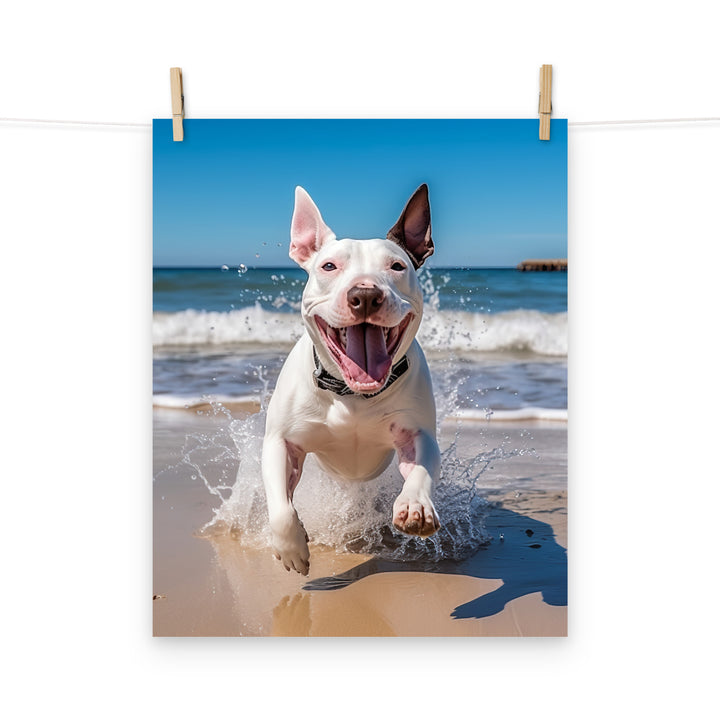 Bull Terrier Photo paper poster - PosterfyAI.com