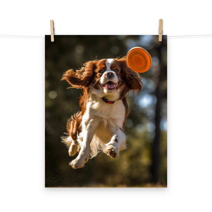 Cavalier King Charles Photo paper poster - PosterfyAI.com