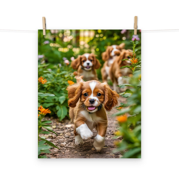 Cavalier King Charles Photo paper poster - PosterfyAI.com