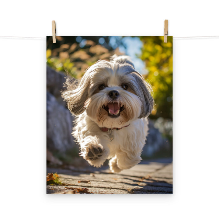 Lhasa Apso Photo paper poster - PosterfyAI.com