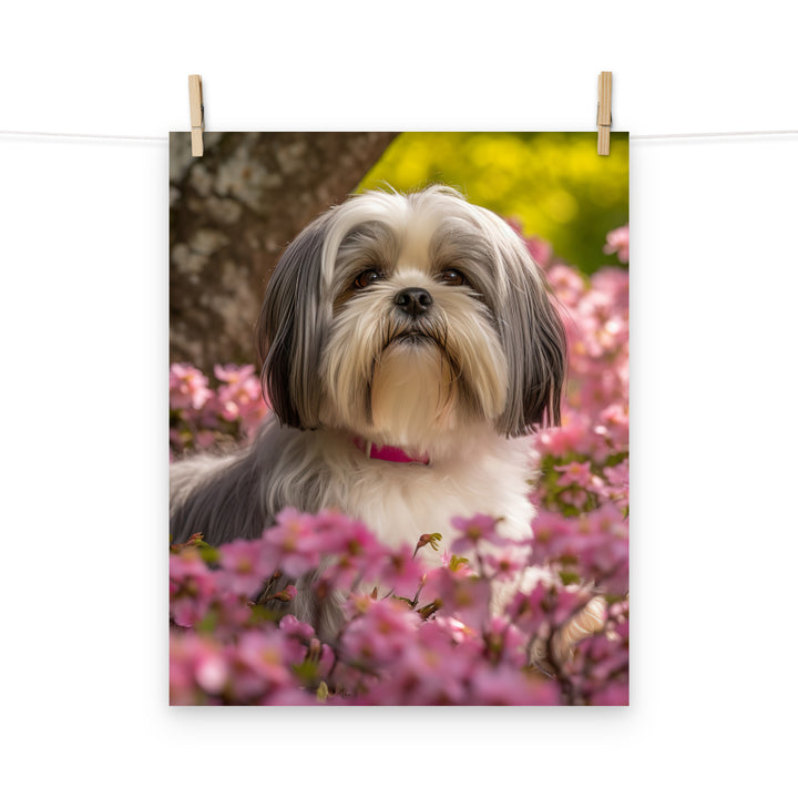 Lhasa Apso Photo paper poster - PosterfyAI.com
