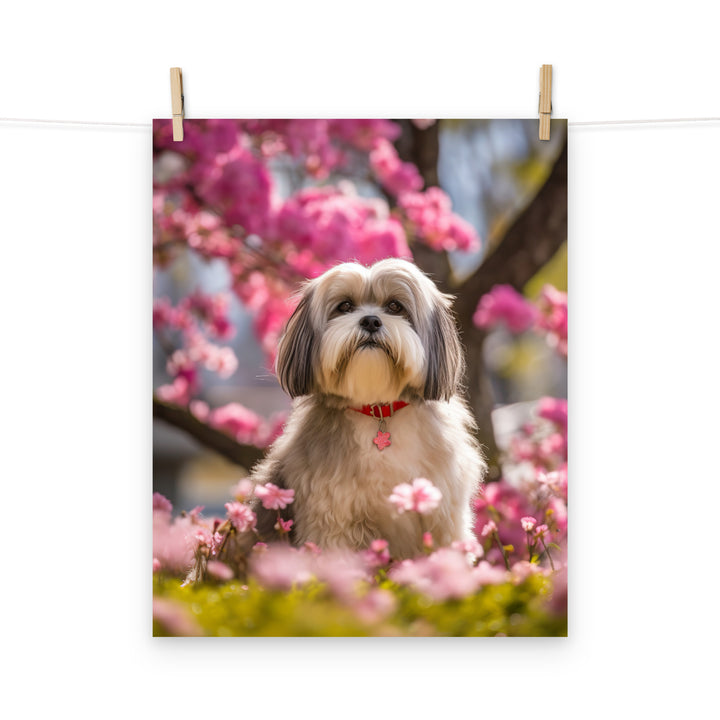 Lhasa Apso Photo paper poster - PosterfyAI.com