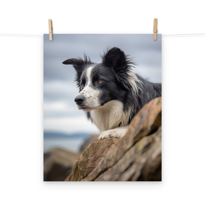 Border Collie Photo paper poster - PosterfyAI.com