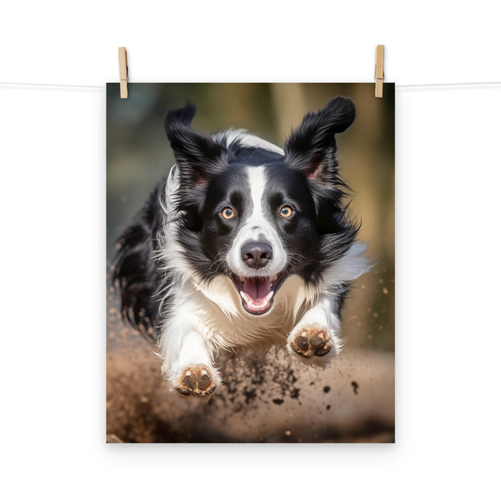 Border Collie Photo paper poster - PosterfyAI.com
