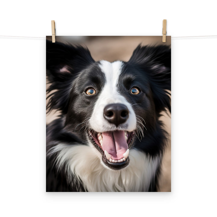 Border Collie Photo paper poster - PosterfyAI.com