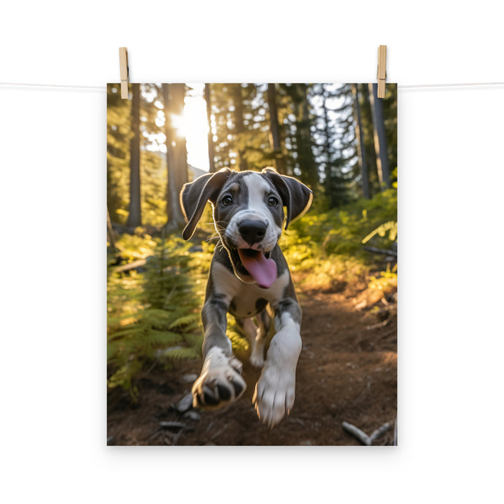 Great Dane Photo paper poster - PosterfyAI.com