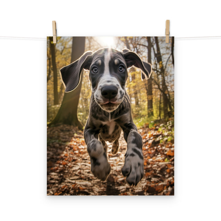 Great Dane Photo paper poster - PosterfyAI.com