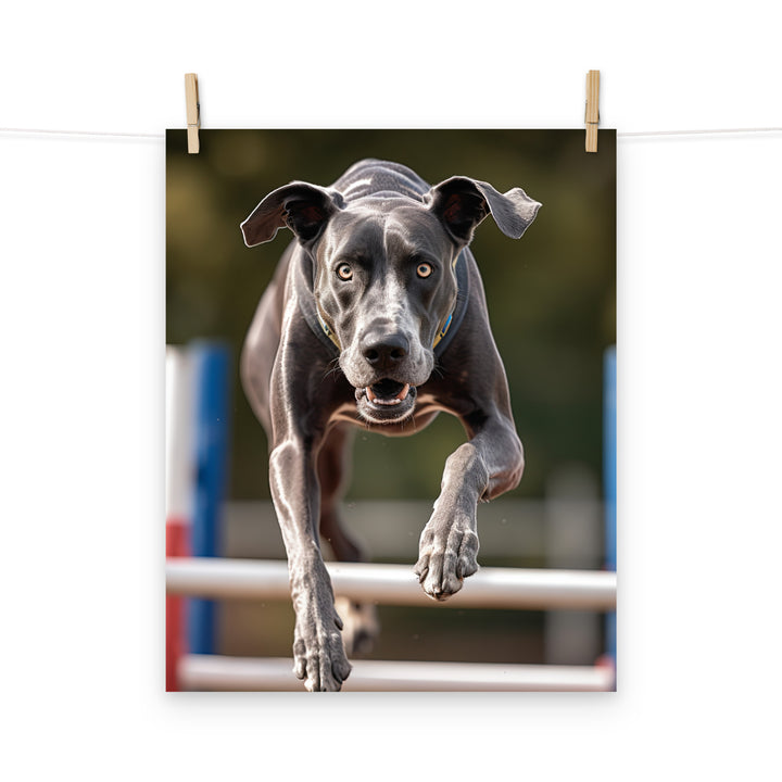 Great Dane Photo paper poster - PosterfyAI.com